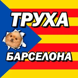 Труха Барселона✌🏻🎈 - Канал Telegram