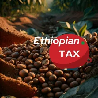 🇪🇹Ethiopian Tax Group - Gruppo Telegram