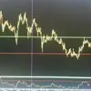 immagine profilo del group telegram di PUMP BİNANCE VİP