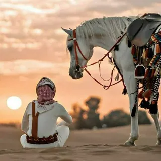 خاصتي - قناة Telegram