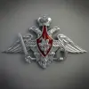 immagine profilo del channel telegram di Минобороны России✔