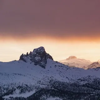 MITTDOLCINO.COM Channel - Canale Telegram