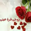صورة الملف الشخصي: 💕زوجى قره عينى💕💓
