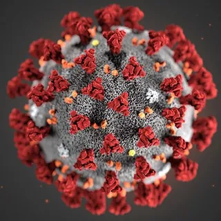 CoronaVirus Italia h24 😷 (COVID-19) - Canale Telegram