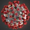 immagine profilo del channel telegram di CoronaVirus Italia h24 😷 (COVID-19)