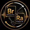 immagine profilo del channel telegram di Breaking Radio 🎸