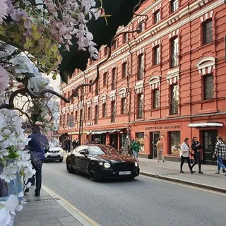 @who_the_best_bot - Бот Telegram