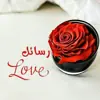 صورة الملف الشخصي: رسائل حب مجنونة ❤️❤️