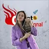 Profile picture: Crypto VIP Signal