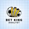 immagine profilo del channel telegram di Bet King Analyst
