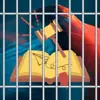 Profile picture: To do checklist to improve our laws to keep population safe and secure from criminals / rapers / abuses