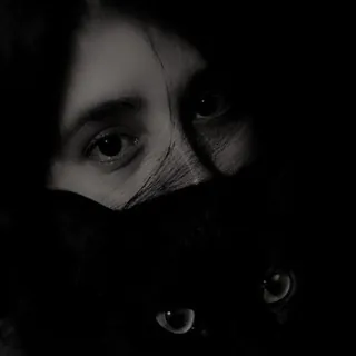 ❦ 𝓐𝓽𝓮𝓯𝓮.𝓫 ❦ - ربات Telegram
