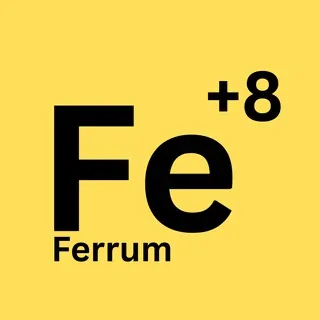 DEV Courses - Group Telegram