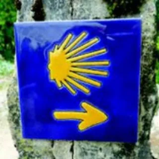 Cammino di Santiago ANTICAMERA - Canale Telegram