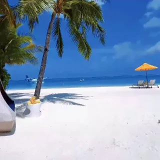 SGV - Bot Telegram