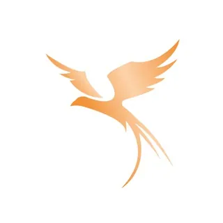 Fenice Academy - Canale Telegram