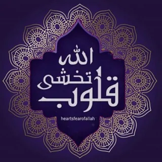 ☜فَيَدِيَوَاتْ اسلامية❀☝ - قناة Telegram