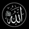 صورة الملف الشخصي: 🌐Adv Admin