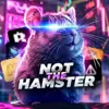 immagine profilo del channel telegram di Not The Hamster 🐹