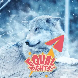 Wolf Animal Rights on Telegram by GRT : No death penalty to wolves - death sentence instead to criminals for animal tort - Channel Telegram
