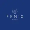 immagine profilo del channel telegram di Fenix Finland