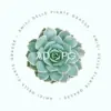 immagine profilo del group telegram di PIANTE GRASSE 🌵 & i suoi amici