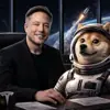 immagine profilo del bot telegram di Elon musk