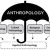 Profile picture: Anthropology UPSC State PCS NET JRF