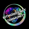 immagine profilo del group telegram di 💎 Bitmonds NFT Community 🇮🇹