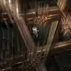 immagine profilo del channel telegram di La Quinta Dimensione (The 5th Dimension)