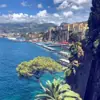 immagine profilo del channel telegram di Sorrento