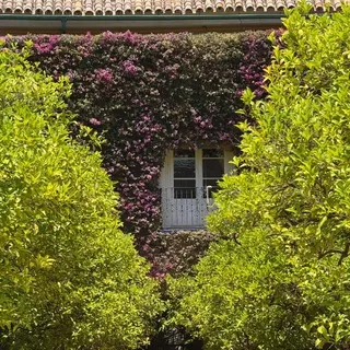 Costa Blanca Property & Lifestyle - Canale Telegram