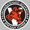 Фото профиля: 1-я ДРШБр Волки 🐺