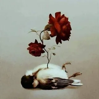 ®© دِمَـــرنِـــيِّ عٌـــــشٍــــگك ®©™ - قناة Telegram