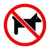 Profile picture: NoSticker