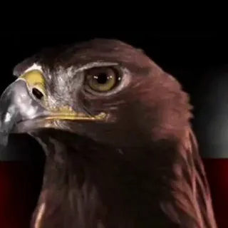 GlobalPatriot - Bot Telegram
