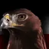 Profilbild: GlobalPatriot
