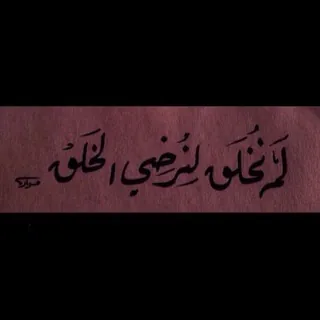 Venus. - قناة Telegram