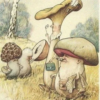 🌲🍄🌳PILZFREUNDE🌳🍄🌲 - Gruppe Telegram
