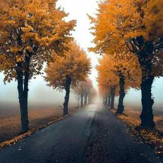 الطريق الصحيح🧡🍂 - قناة Telegram