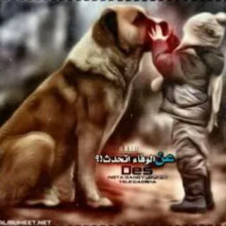 رمز الوفاء 🅰 في زمن الخيانة - قناة Telegram