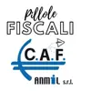 immagine profilo del channel telegram di Pillole Fiscali - CAF ANMIL 🤓👍