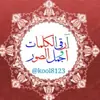 صورة الملف الشخصي: آرقَئ آلَكلَمِآتُ وِآجَ ـمِلَ آلَصِـوِر②