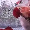 صورة الملف الشخصي: كن سعيداً ولا تُـبــالي ❤️