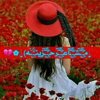 ❥ ﻣ̝̚ﺷﺂ؏ۤـہړُ פـژﯾﻧـھَہّ 🌙 - قناة Telegram