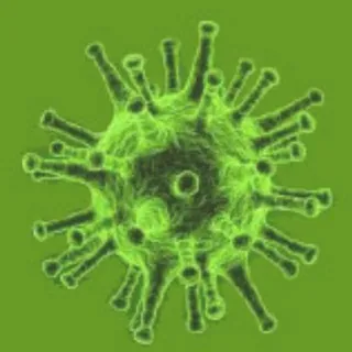 Corona Virus Informationen 2 - Kanal Telegram