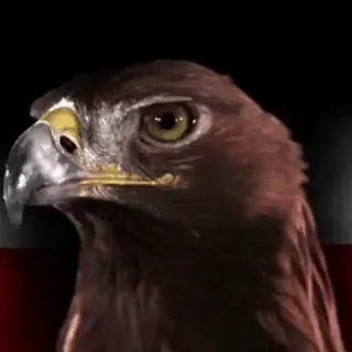GlobalPatriots - Kanal Telegram