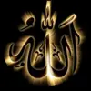 صورة الملف الشخصي: التوبة