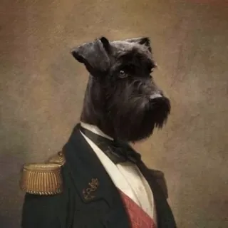 Lord Bebo & Friends - Channel Telegram