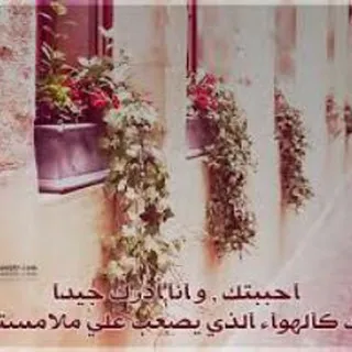 ❤||منوعآت..❤️..رآقيةة||❤⚘ - قناة Telegram